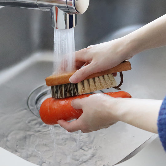 ベジタブルブラシ フィッシュ型/REDECKER(レデッカー)