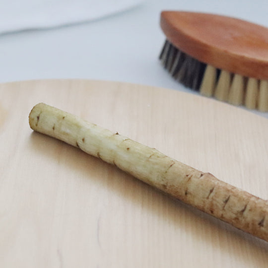 ベジタブルブラシ フィッシュ型/REDECKER(レデッカー)