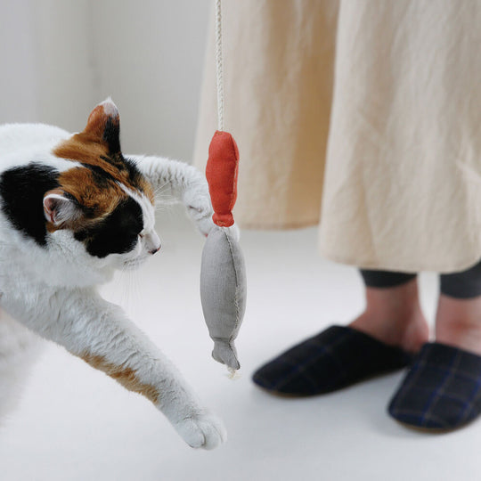 猫とあそぶ 魚モチーフの猫じゃらし／Cat Catcher Fish